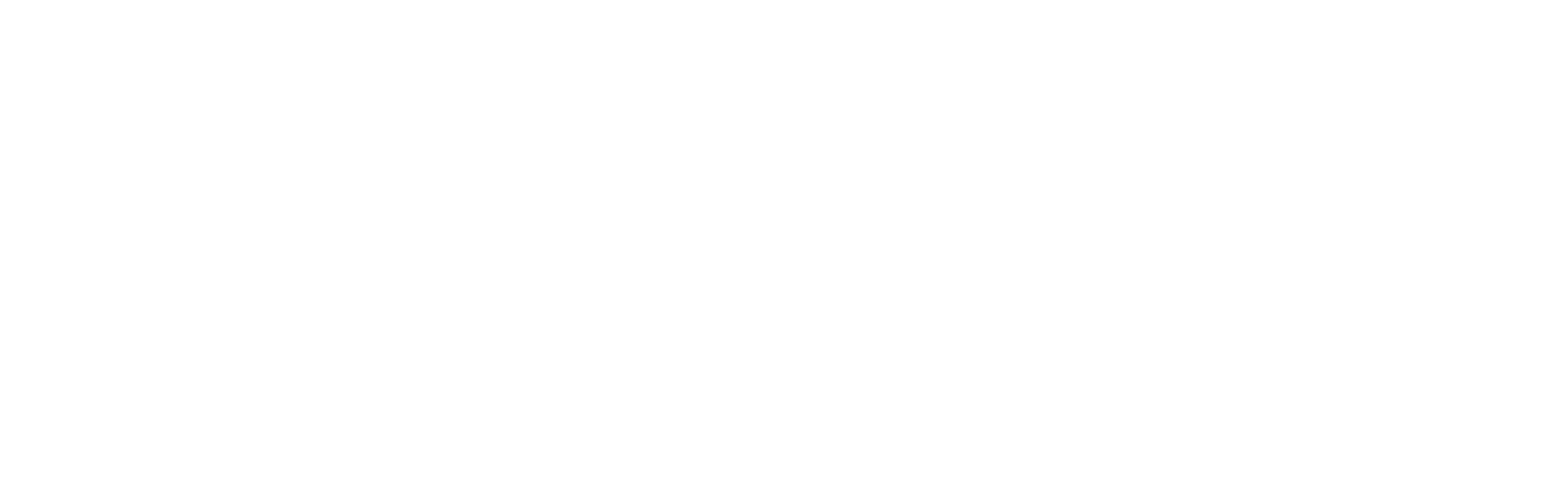 Experience Papagayo